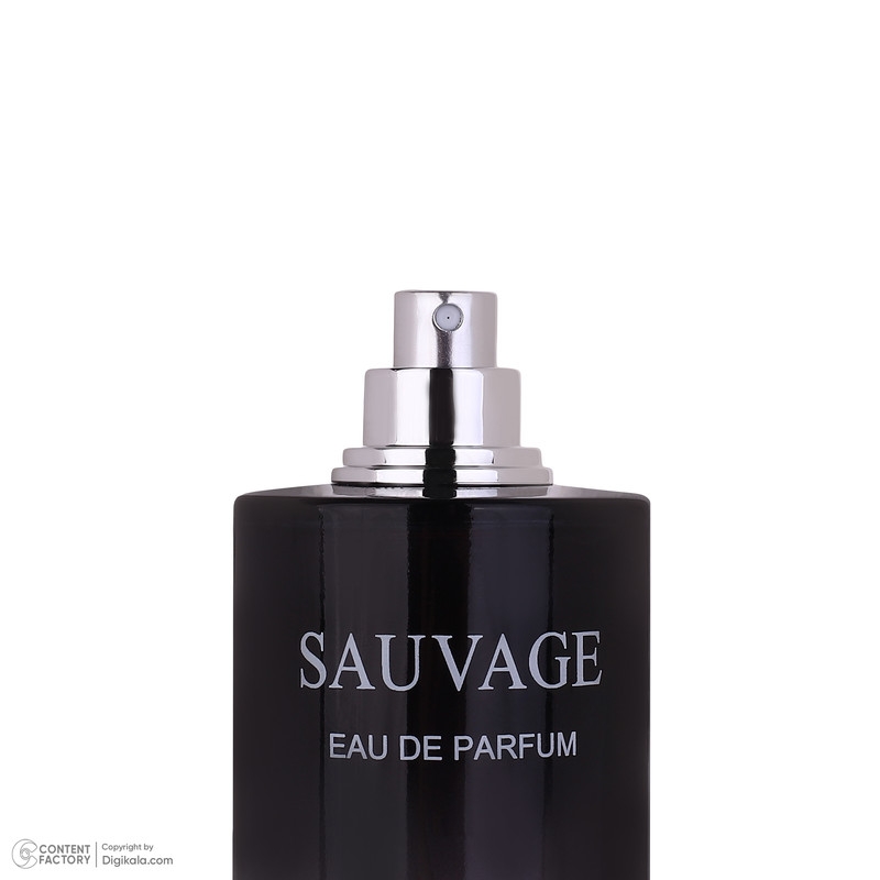 قیمت و خرید ادیوپرفیوم مردانه کلپک مدل ساواج دیور با رایحه خنک حجم 100 میلی لیتر